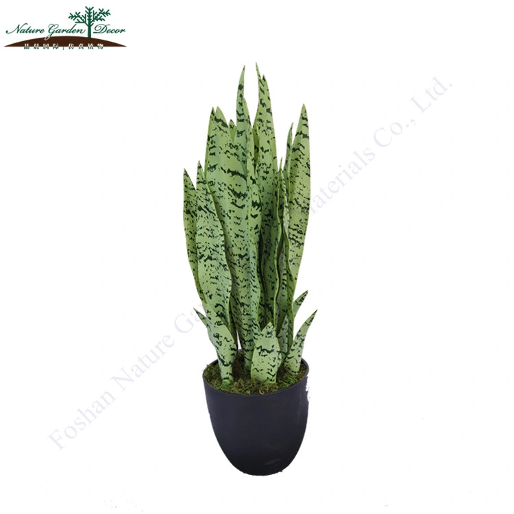 All Types of Sansevieria Plants Agave Prices High Quality Artificial Bonsai