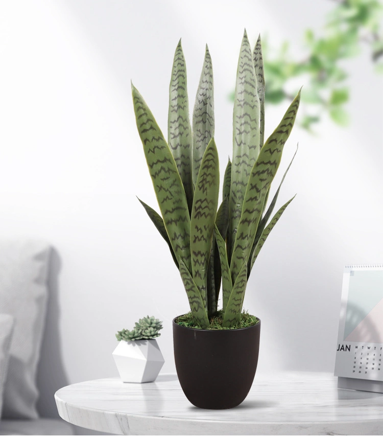 Table Decoration Plastic Sansevieria Snake Plant with Pot for Sale