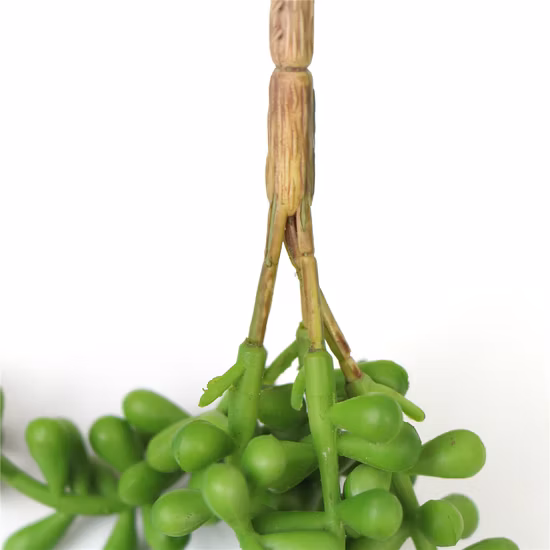 新しいファッション取り外し可能な風景吊り下げ多肉植物の壁の装飾用