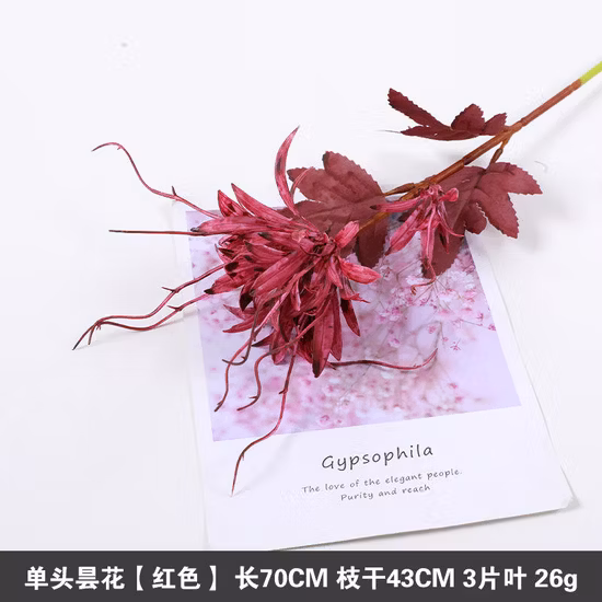 人工アオウミガメの葉壁掛け植物