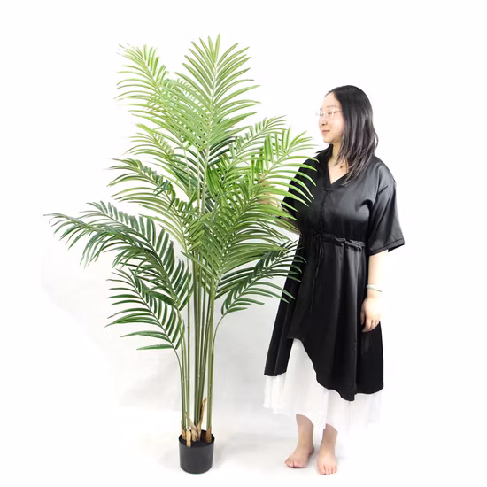 屋内装飾用盆栽鉢植え卸売