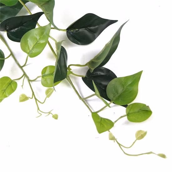 高度なシミュレーションにより、装飾用に人工植物を壁に掛けたままにできます。